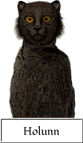 Upper body image of Holunn to demonstrate the ash-black hyarmi coat color.