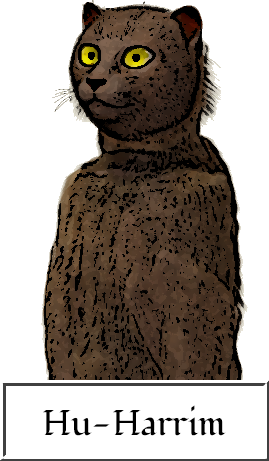 Upper body image of Hu-Harrim to demonstrate the ash-brown hyarmi coat color.