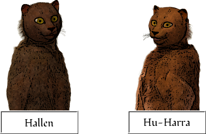Upper body image of Hallen to demonstrate the brown hyarmi coat color, along with upper body image of Hu-Harra to demonstrate the chestnut hyarmi coat color.